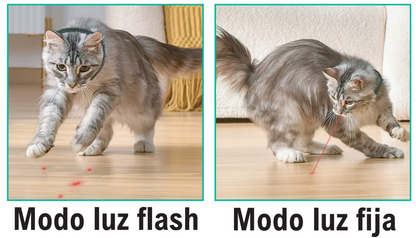 Coleira laser tag para animais de estimação 