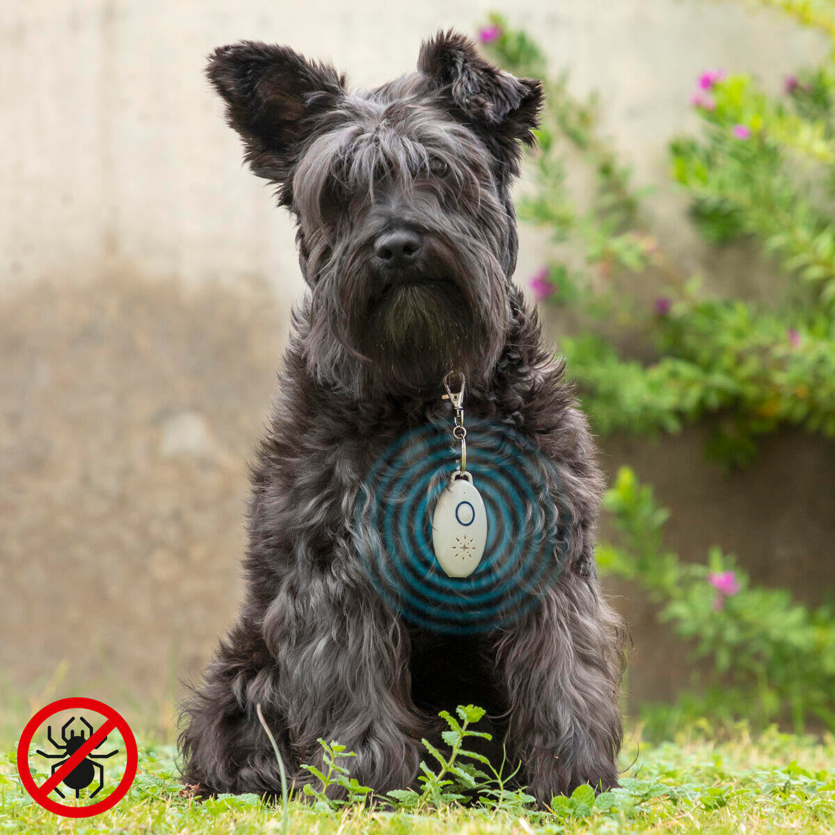 Spray antiparasitário ultrassónico recarregável PetRep InnovaGoods para animais de estimação 